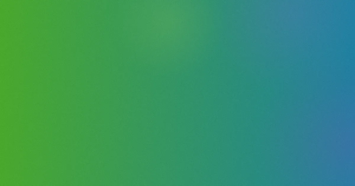 黑色四叶草第二季测评：五步避坑